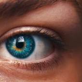 Halloween Contact Lenses 